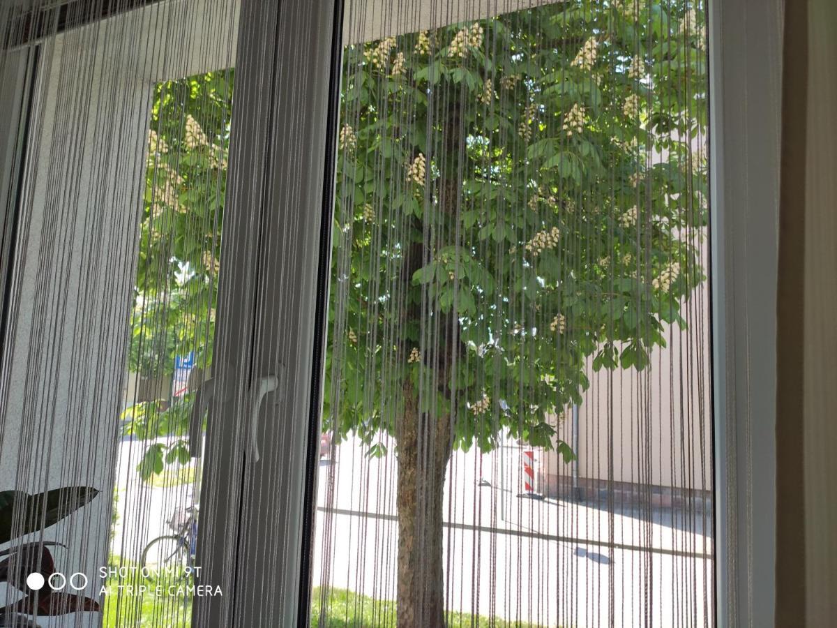Apartament Centrum Kosciuszko Suwałki 外观 照片